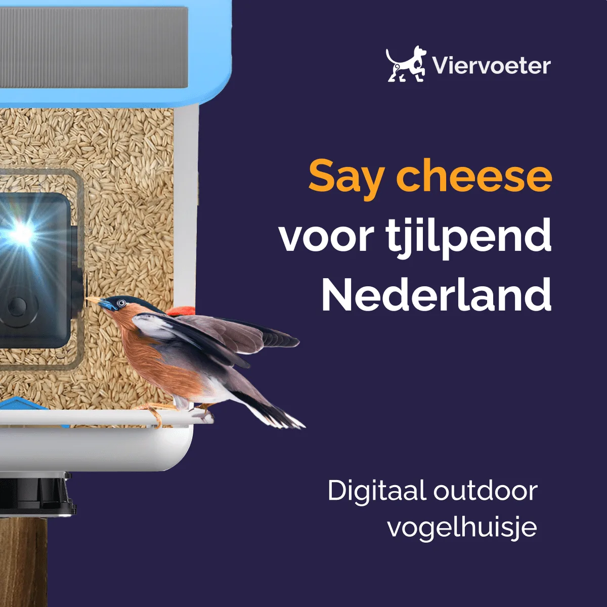 Een afbeelding van het Providet Vogelvoederhuisje, ideaal voor gebruik in Bol.com productvermeldingen.  